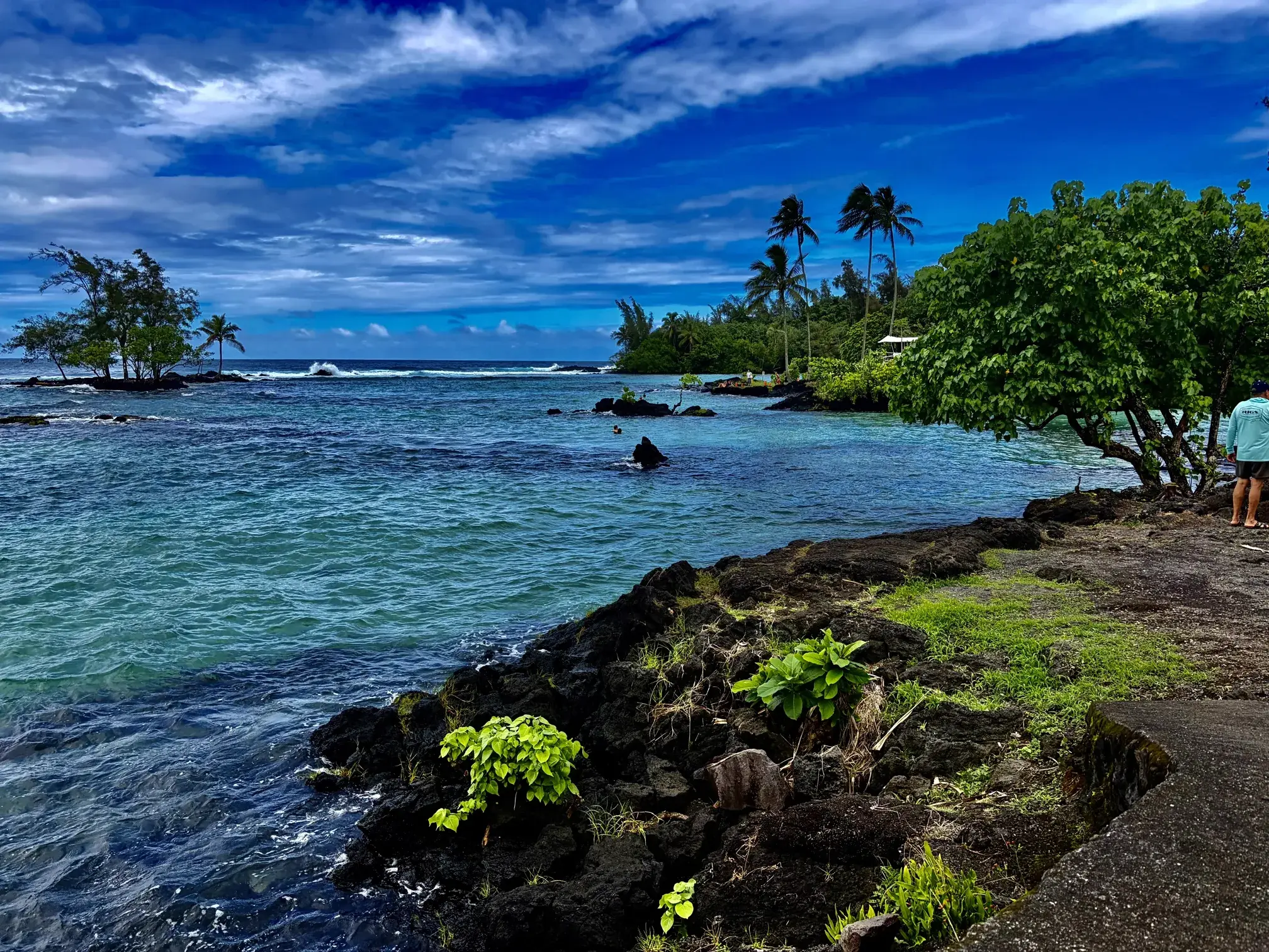 Peaceful coastal lagoon on the Big Island where Hawaiian green sea turtles are often seen