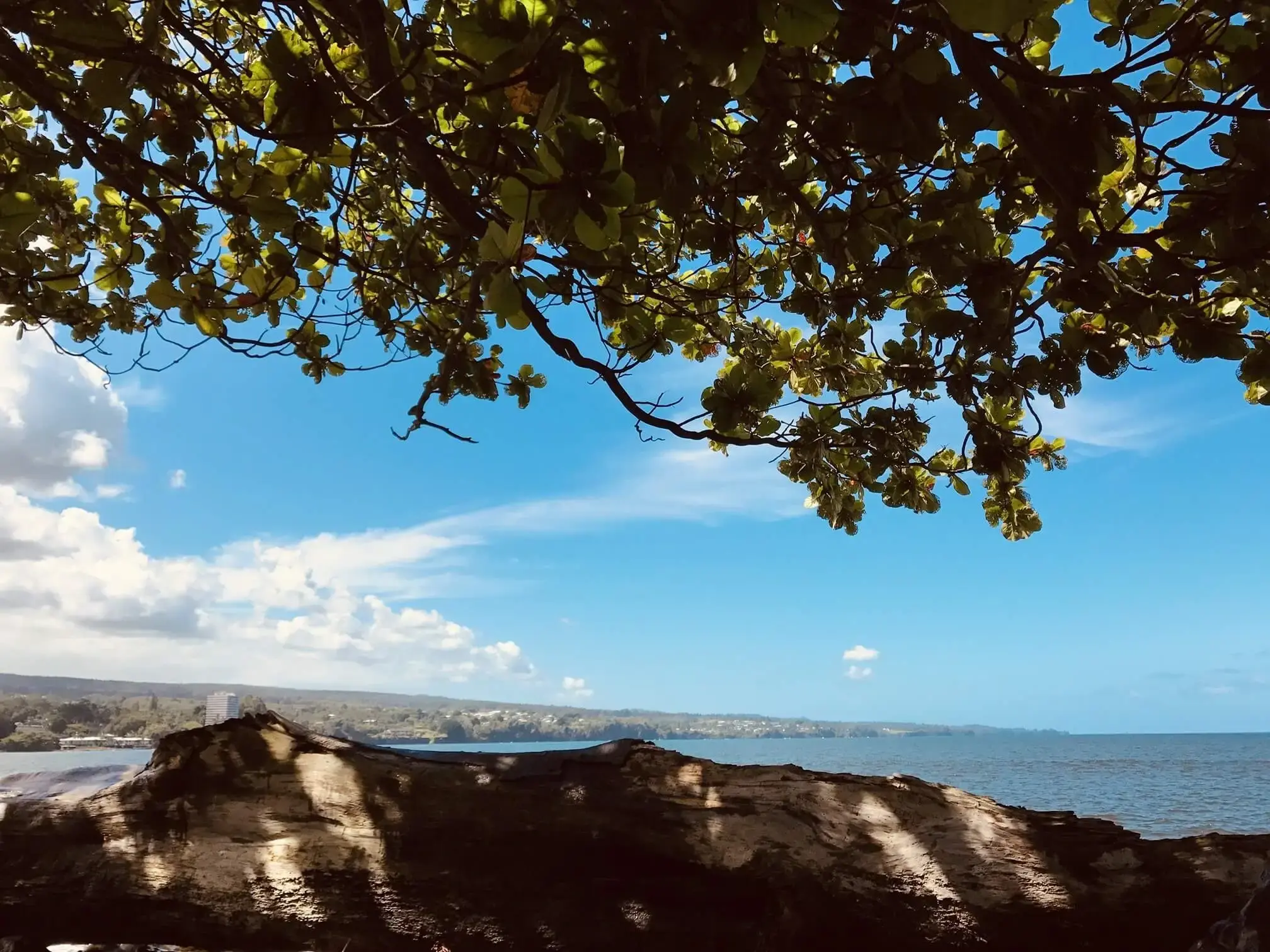 Scenic view of Hilo Bay
